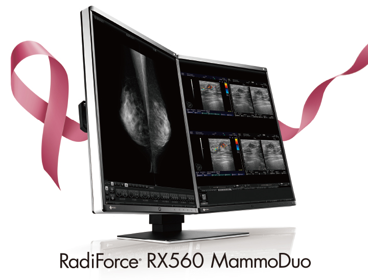 EIZO RadiForce RX560